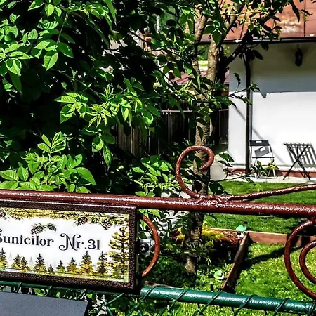 Casa Bunicilor * Sinaia